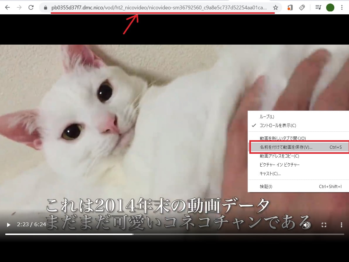 ニコニコ動画chrome4