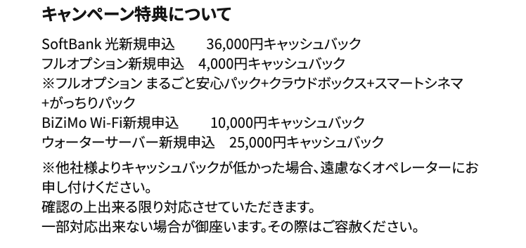 オプション条件の例_エフブレイン_20240201